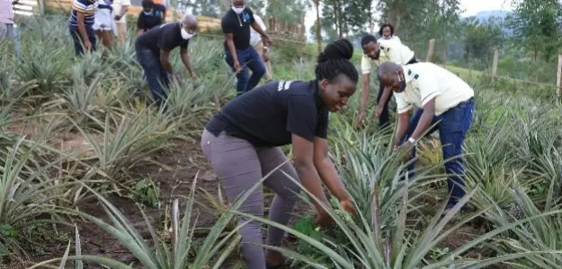 agricultural tourism in uganda