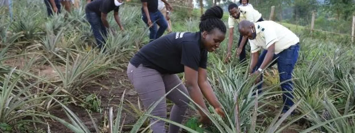 agricultural tourism in uganda